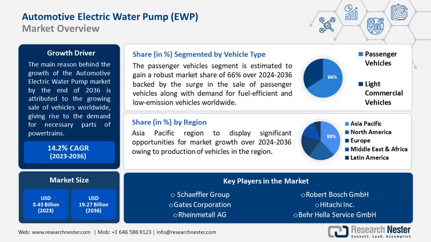 Automotive Electric Water Pump (EWP) Market overview